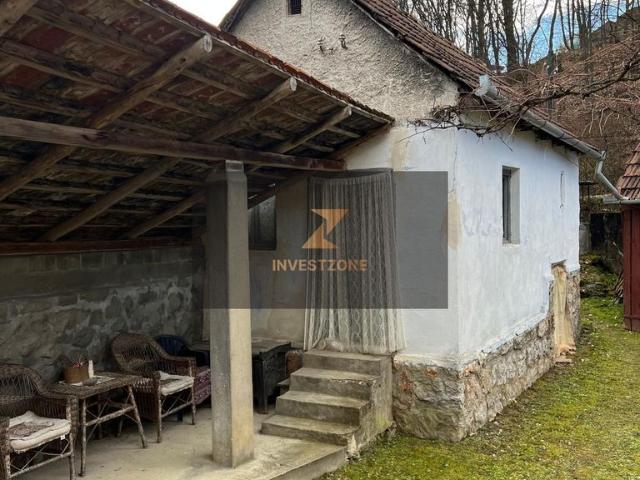 Casa de vanzare Vadu Crisului