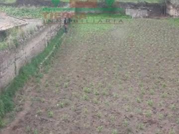 Casa de Venta con Terreno de 1200m2 en Olmedo