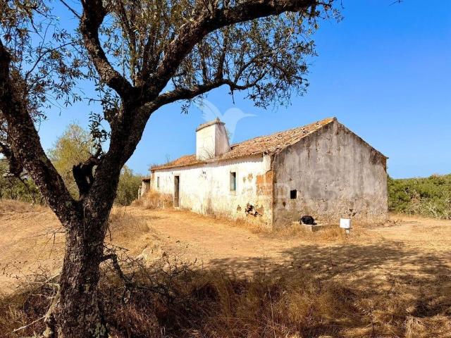 Casa de 133 m² à venda Santiago do Cacém, Portugal