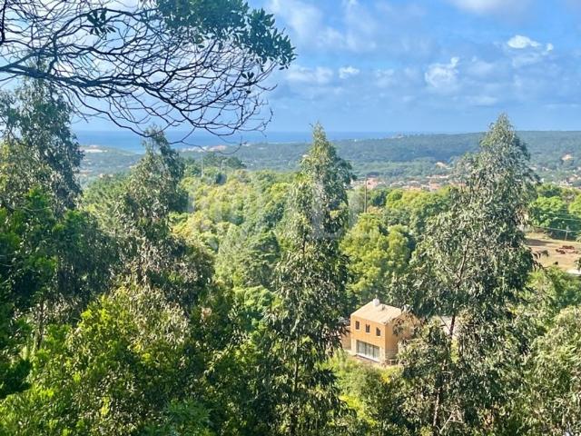 Casa de 224 m² à venda Sintra, Portugal