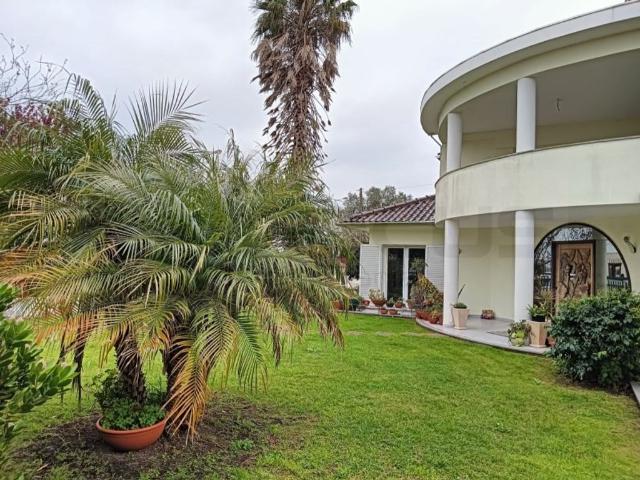 Casa de 474 m² à venda Aveiro