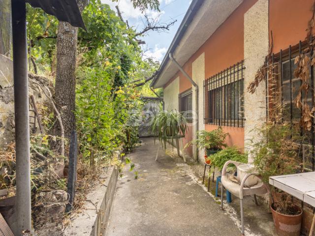 Casa de 4 quartos com dois terrenos e um pomar diversificado, Santa Ma