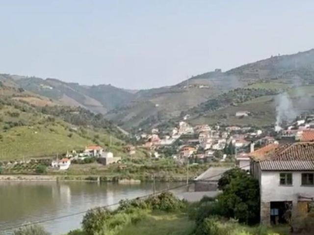 Casa de 5250 m² à venda Folgosa, Viseu