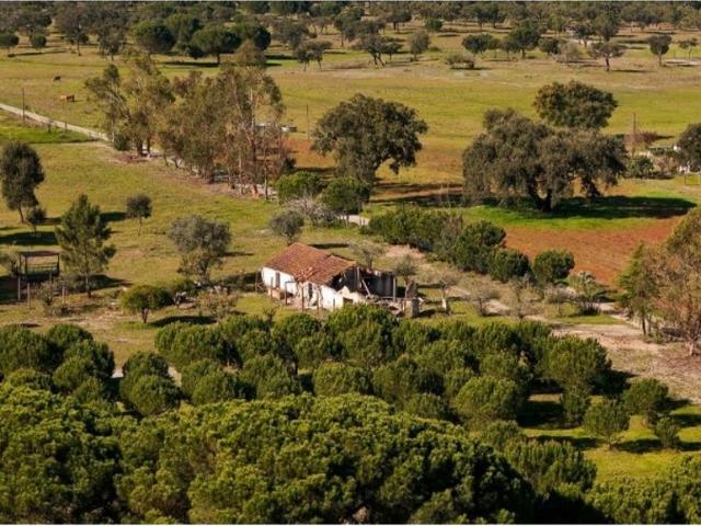 Casa de 629 m² à venda Agua Derramada, Grândola, Setúbal