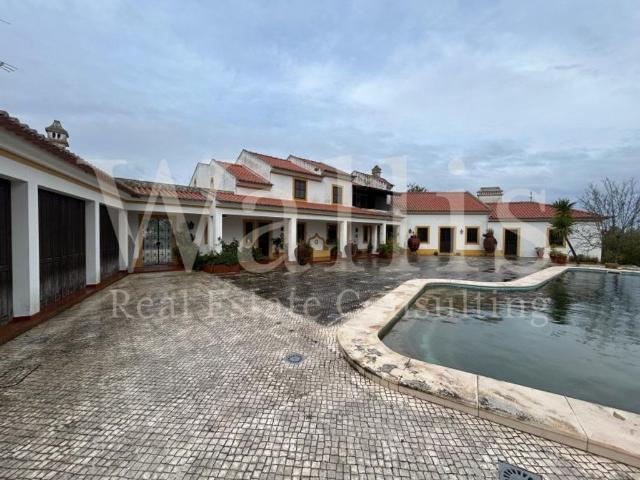 Casa de 850 m² à venda Montemor o Novo, Portugal