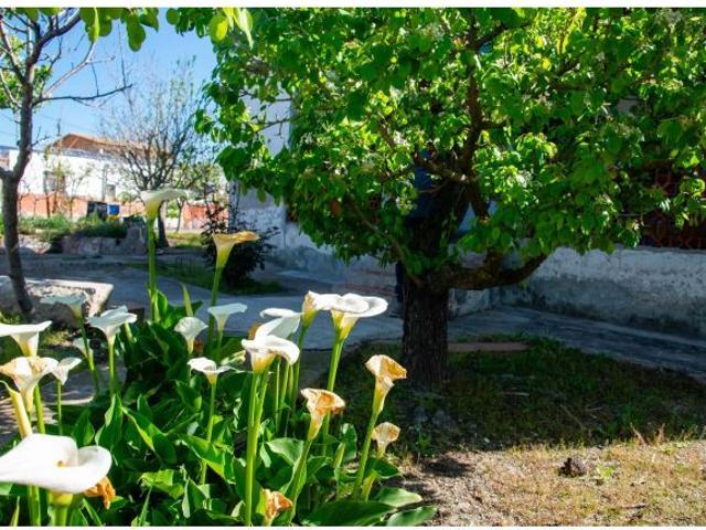 CASA DE 96 M 2 CON LUZ Y AGUA POZO EN PARCELA DE 1.080 M PARTIDA ALMALAFA GRAO DE CASTELLÓN