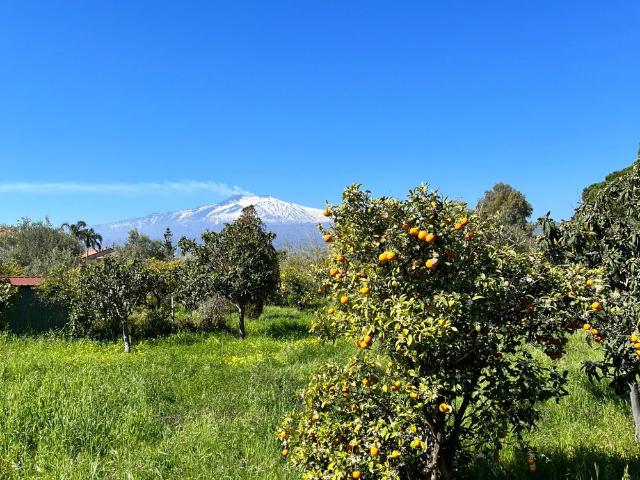 Casa dei Fiori