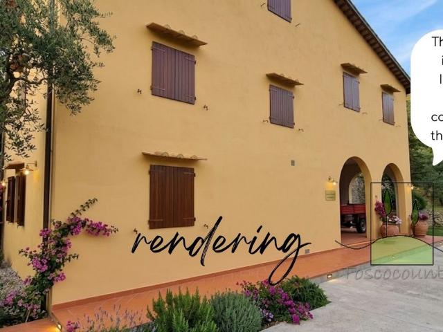 Casa di campagna con uliveto e piscina in vendita a Calci, T. 200m² Calci