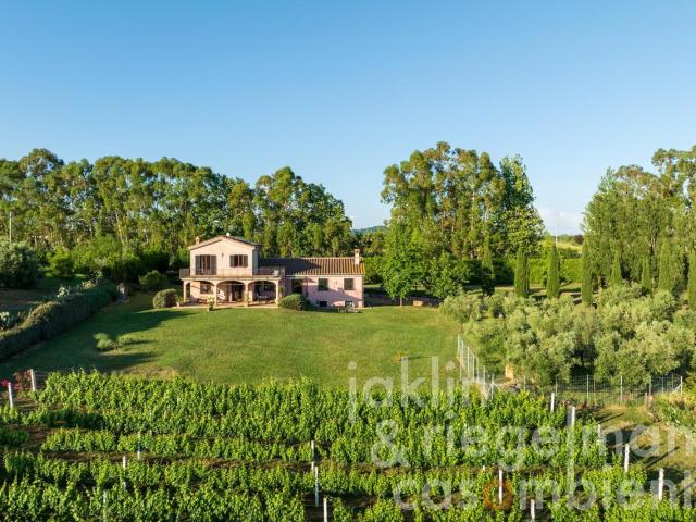 Casa di campagna di categoria A1 con annesso e piccolo vigne. 541m² Bracciano