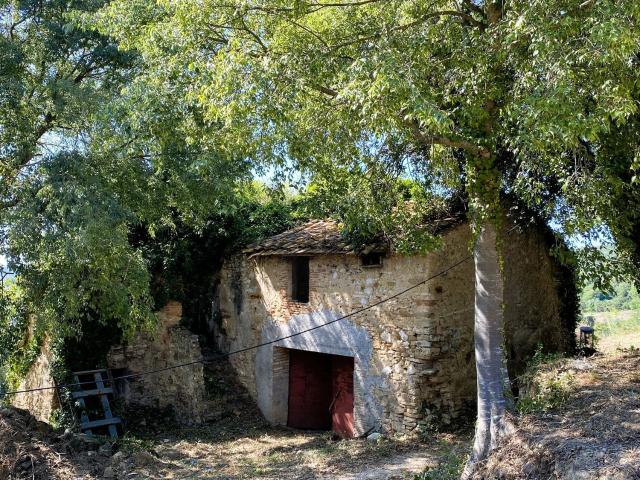 Casa di campagna in vendita di 1500 m² in Strada di Montoro Vecchio