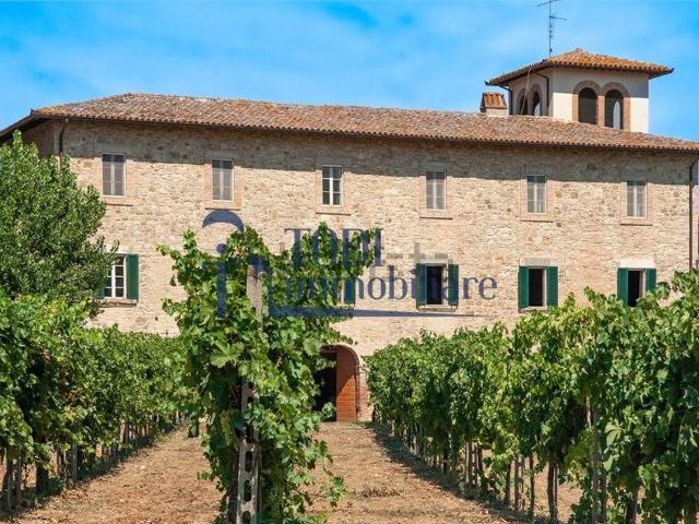 Casa di campagna in vendita di 1800 m² in Frazione Pian San Martino