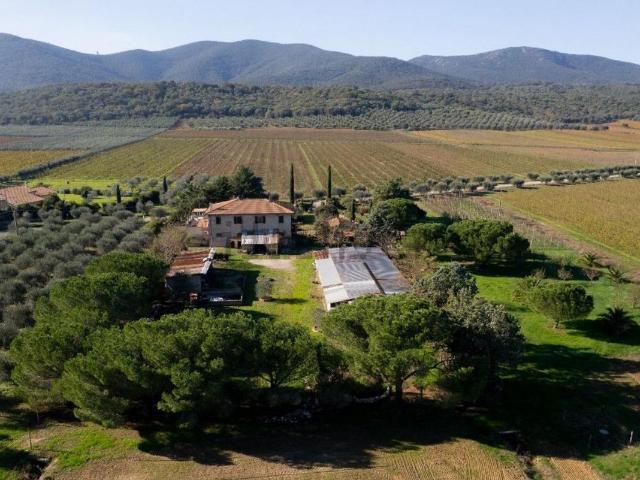 Casa di campagna in vendita di 600 m² in Strada Provinciale Alberese, 59