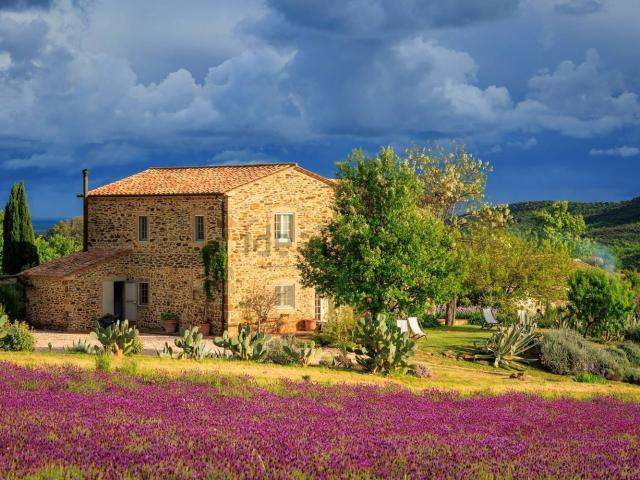 Casa di campagna in vendita di 600 m² in Strada Senza Nome