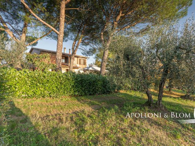Casa di campagna privata con vigneti e panorama Montepulci. 250m² Montepulciano