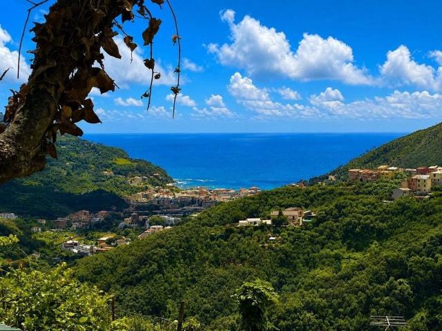 Casa di lusso di 100 mq in vendita Vignana, Levanto, La Spezia, Liguria