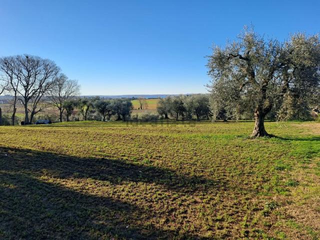 Casa di paese in vendita di 150 m² in Località Casaretti