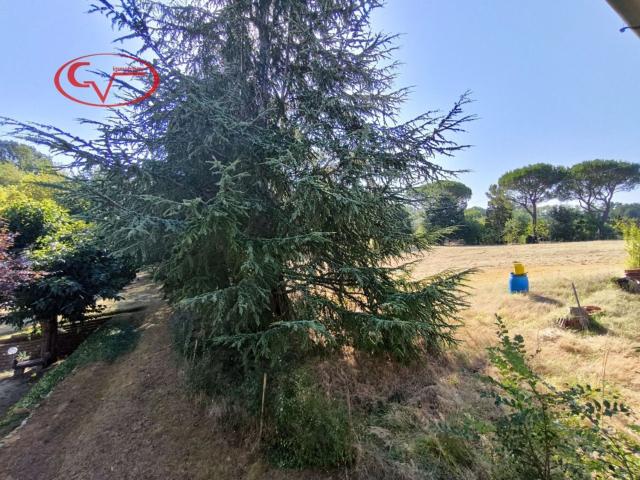 Casa di paese in vendita di 200 m² in Via delle Caselle