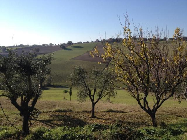 Casa di paese in vendita di 220 m²