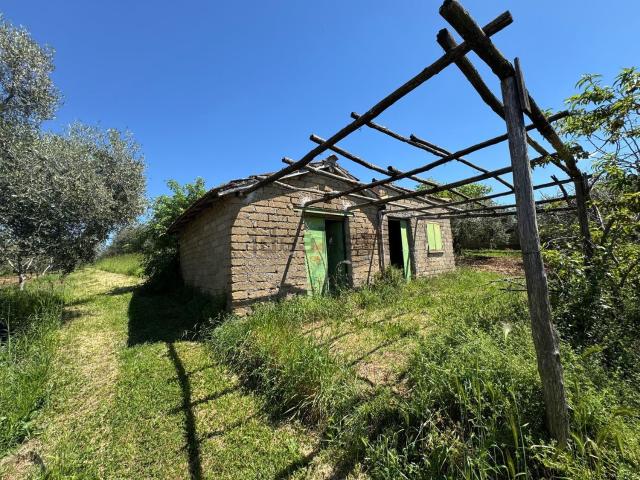 Casa di paese in vendita di 40 m² in Via Campo di Grazia, 179