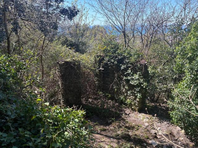 Casa di paese in vendita di 40 m² in Via Lanfranco Alberico