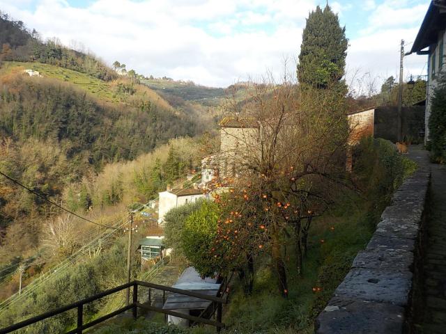 Casa di paese in vendita di 65 m² in Via Mammianese Nord