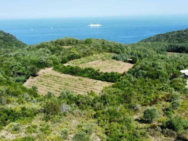 Casa di prestigio di 120 mq in vendita Cala Mandriola, Rio Marina, Livorno, Toscana
