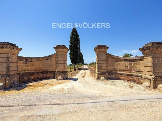 Casa di prestigio di 350 mq in vendita Strada Vicinale Monte d'Elia, Alezio, Puglia