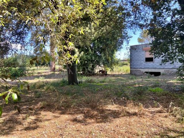Casa di 80 mq a CERI Cerveteri