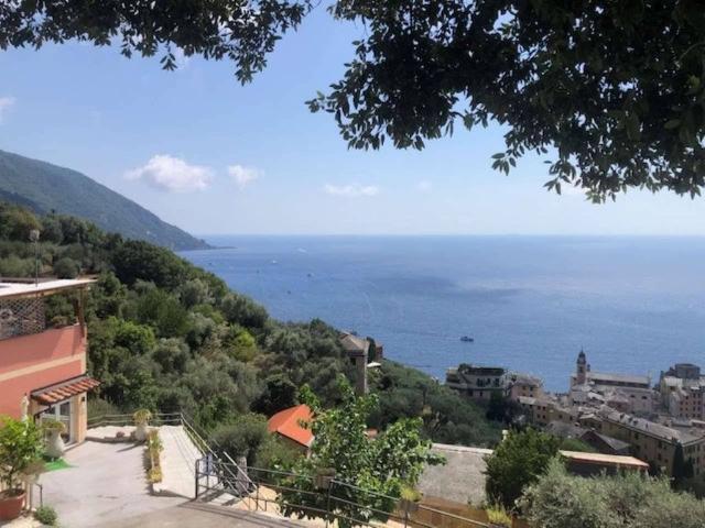 Casa di 100 mq in vendita via Romana di Camogli, Camogli, Genova, Liguria