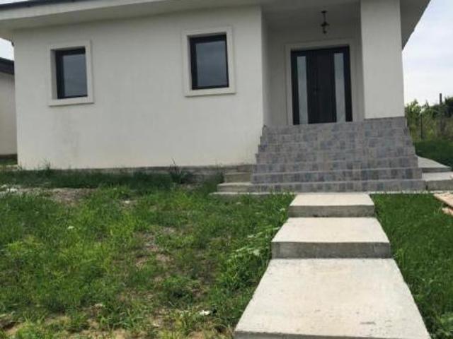 Casa din caramida, Visan, Iasi