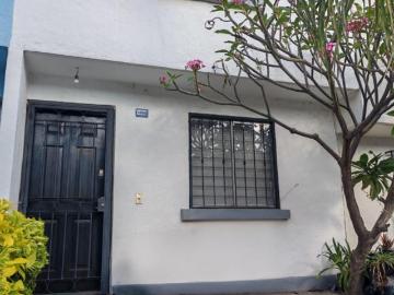 CASA DOS PLANTAS SANTA ANITA