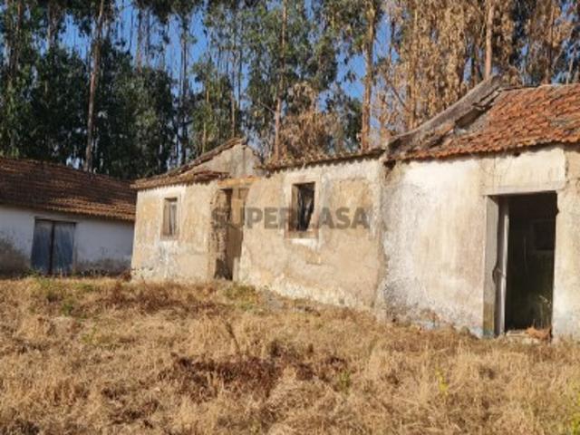 Casa e Adega com 4.200 m2 de terreno | Maxial, Torres Vedras