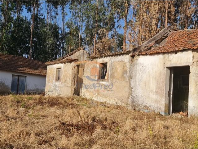 Casa e Adega com 4.200 m2 de terreno | Maxial, Torres Vedras