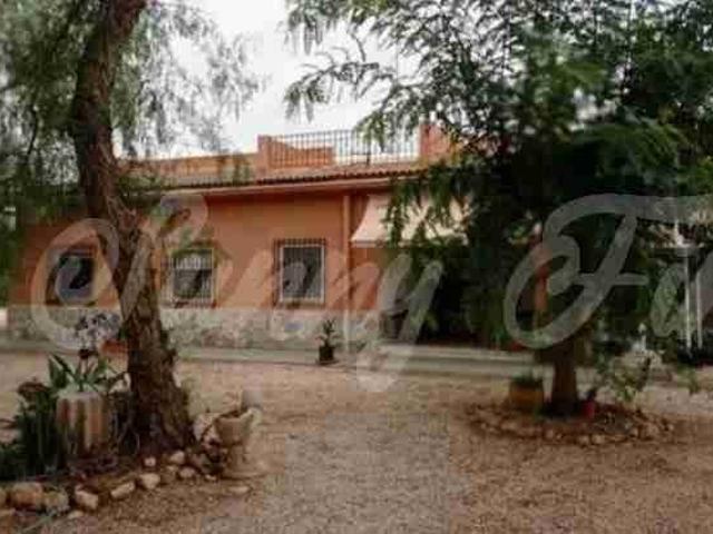 Casa Elche Alicante 100527932