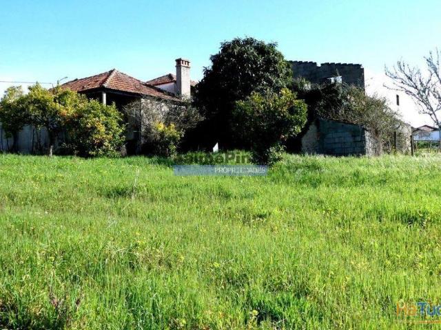 Casa em Ruína, com 3.600m2 terreno agrícola, S. Pedro de Alva. Portugal, Coimbra, Penacova. | 26084062394