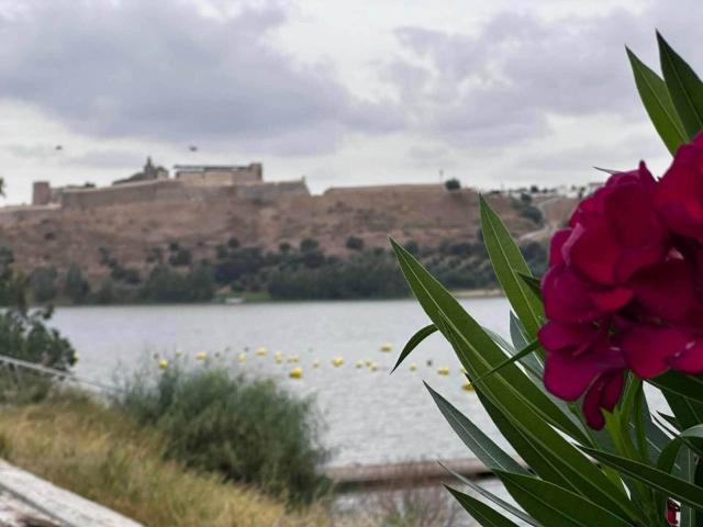 Casa en Olivenza, en el embarcadero de Villarreal
