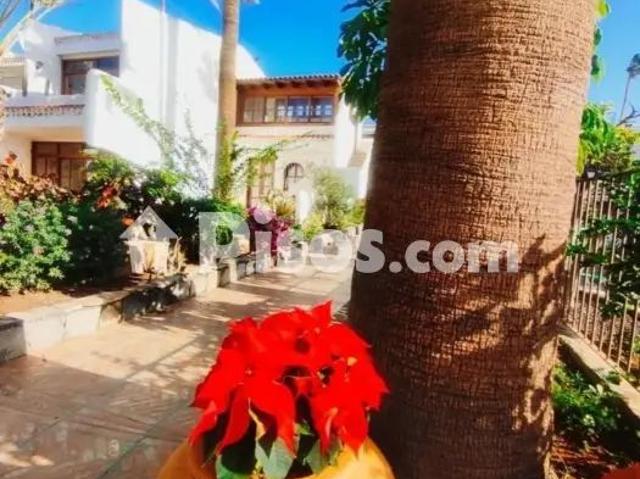 Casa en alquiler en Playa de Las Américas