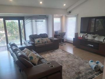 Casa en arriendo, Bosque de pinos