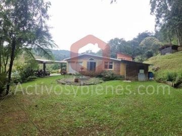 Casa en arriendo, El salado