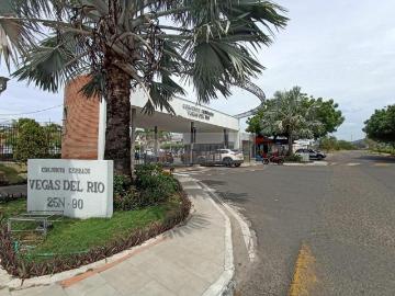 Casa En Arriendo En Cucuta En Av. Del Rio, Vegas Del Rio A77853