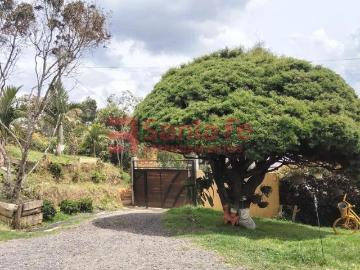 Casa en arriendo, Santa elena