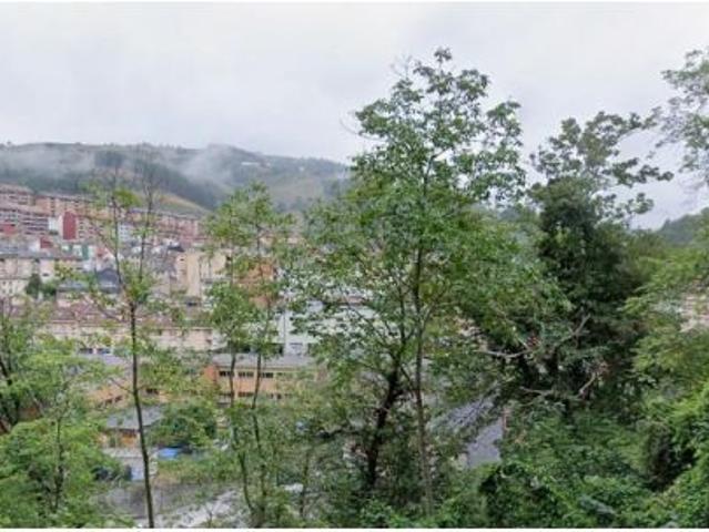 CASA EN CANGAS DEL NARCEA