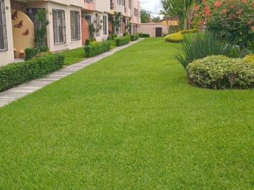 Casa en condominio en renta Lomas De Jiutepec, Jiutepec, Morelos