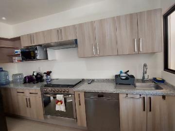 Casa en condominio en renta Zirándaro Residencial & Golf, Querétaro, San Miguel De Allende, Guanajuato, México