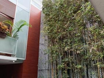 Casa en Condominio en Venta Narvarte Poniente