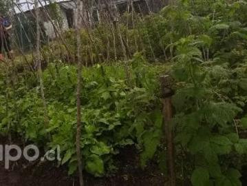 Casa en el campo | 3 Dormitorios por 100000. 00 en Santiago
