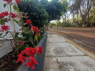 CASA EN ESQUINA FRENTE A PARQUE – UNA SOLA PLANTA – TOTALMENTE REMODELADA