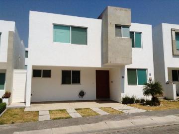 Casa en fraccionamiento en renta Fraccionamiento Lomas De Angelópolis, San Andrés Cholula