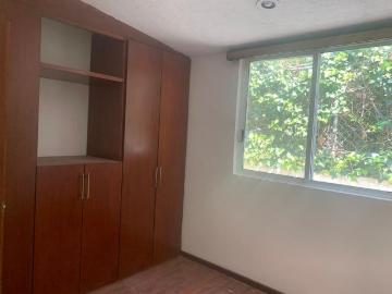 Casa en fraccionamiento en renta Momoxpan, San Pedro Cholula