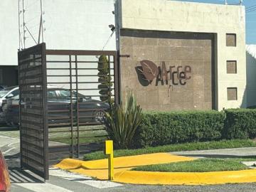 Casa en fraccionamiento en renta Paseo Arboleda, Avenida Arboleda, Santin, San Mateo Otzacatipan, Estado De México, México